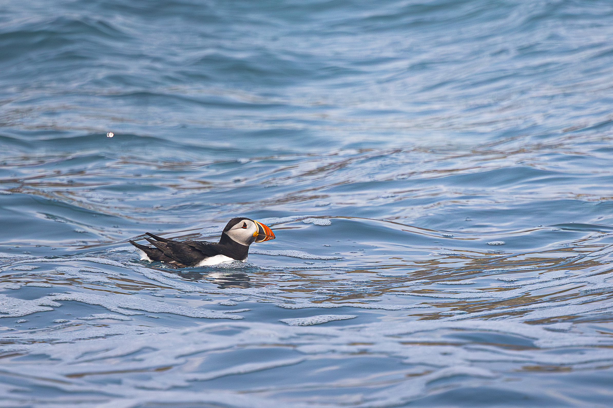 Screenshot 2026-02-05 133012.png