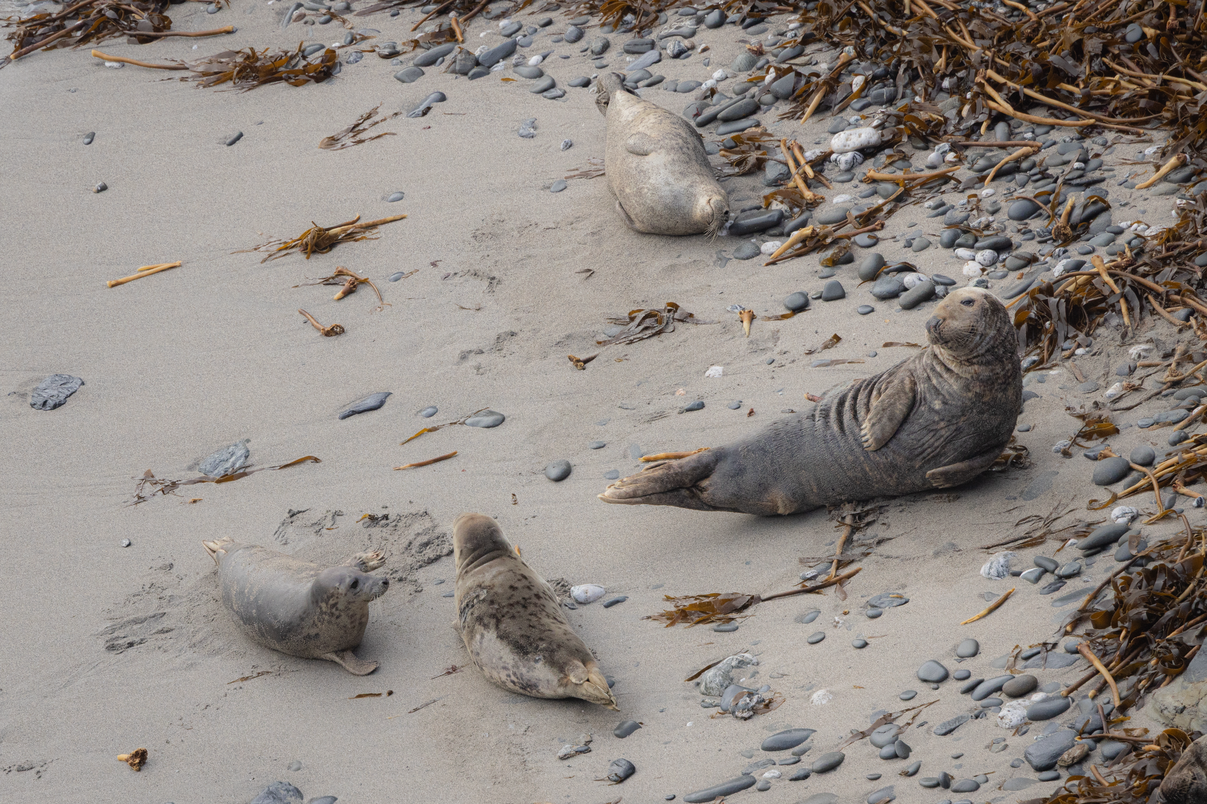 Screenshot 2026-02-04 224603.png