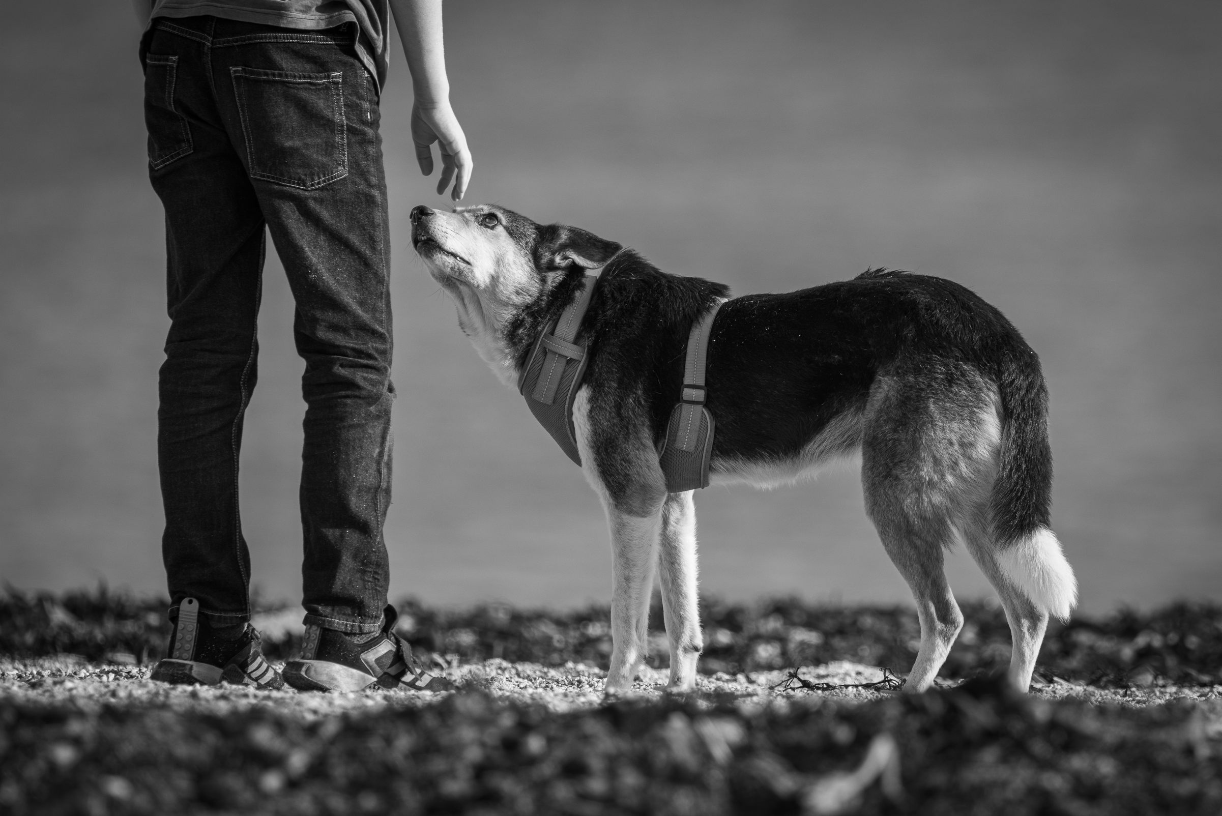 Screenshot 2026-02-04 223246.png