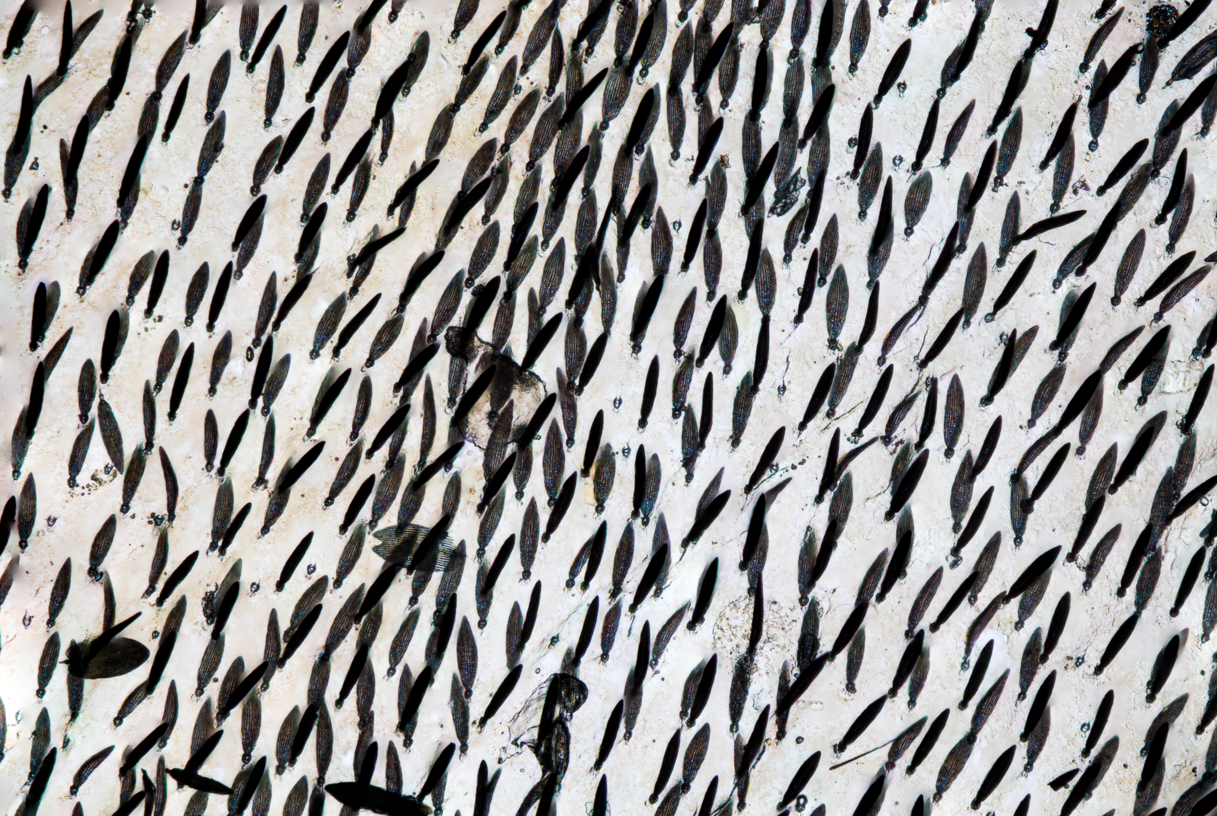 Screenshot 2025-12-20 231309.png