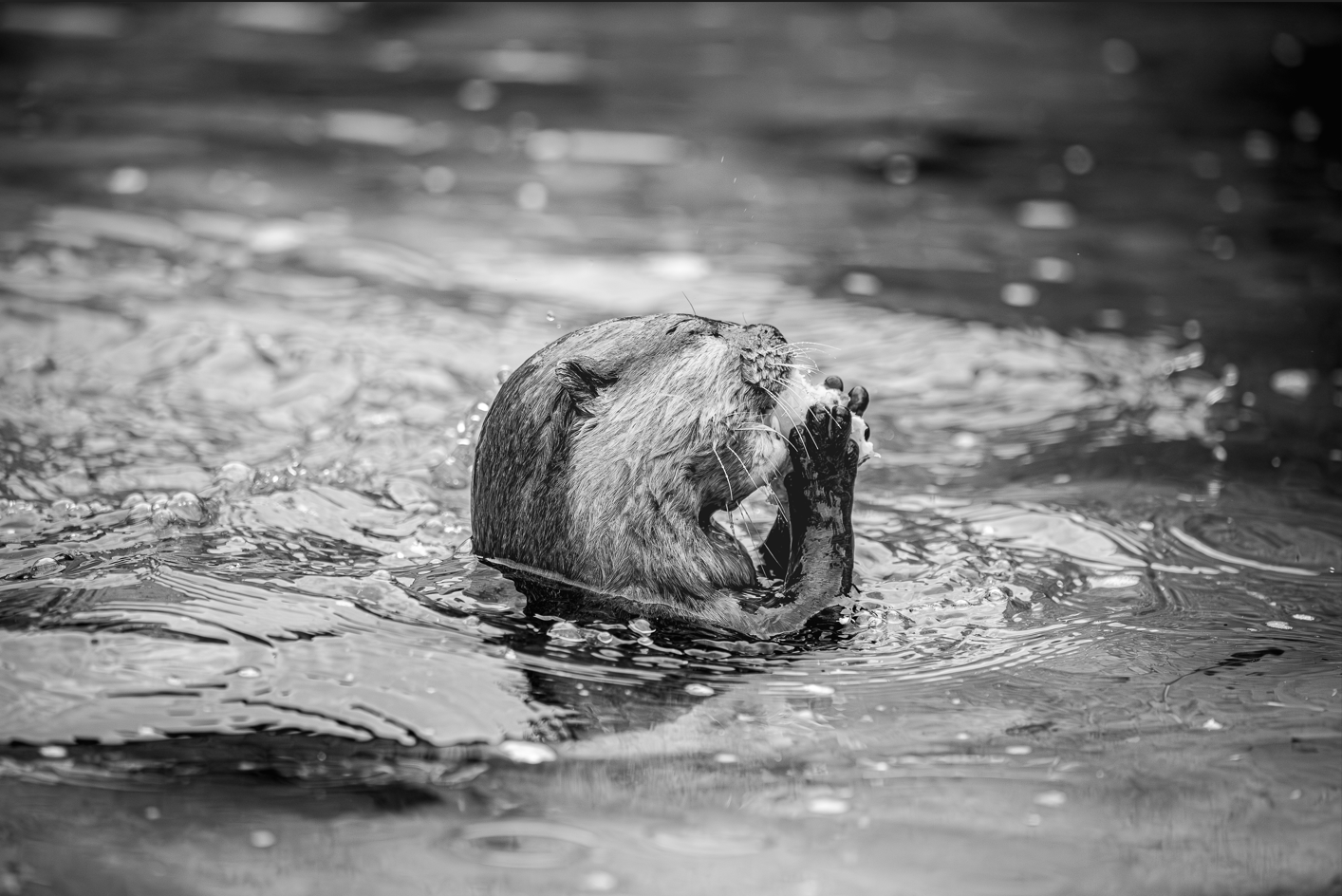 Screenshot (219).png