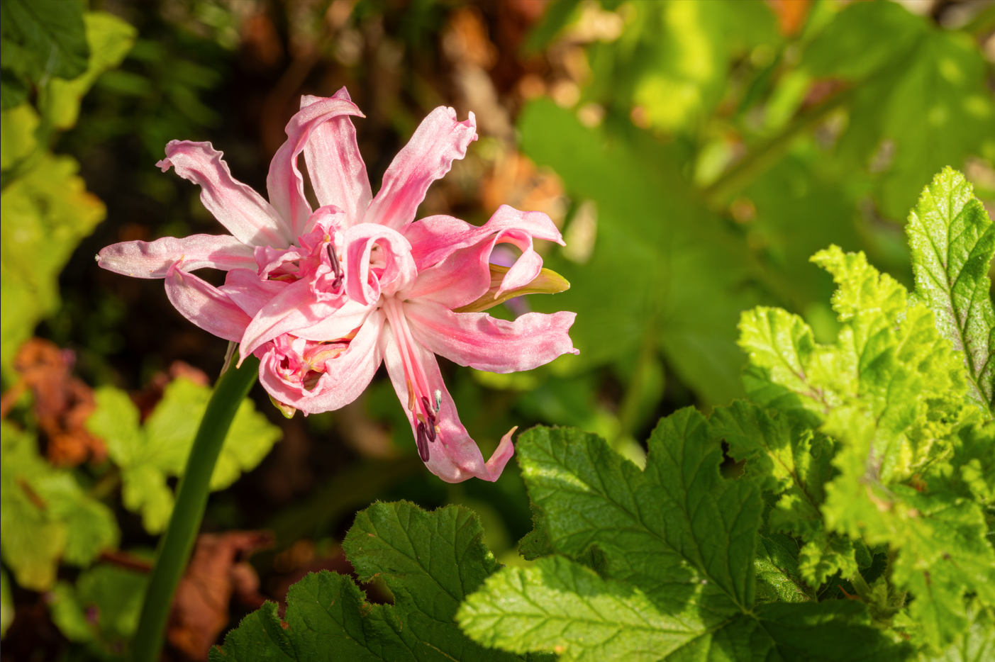 {9728AB55-D681-4E70-B9C5-89A9E8CF0259}.png