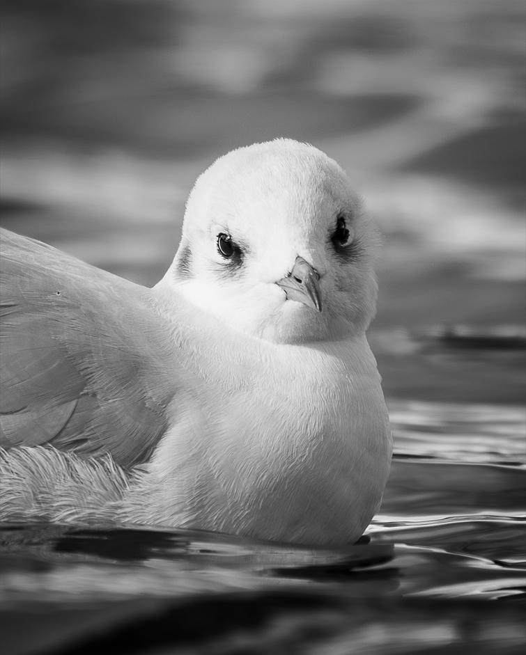 Screenshot (102).png