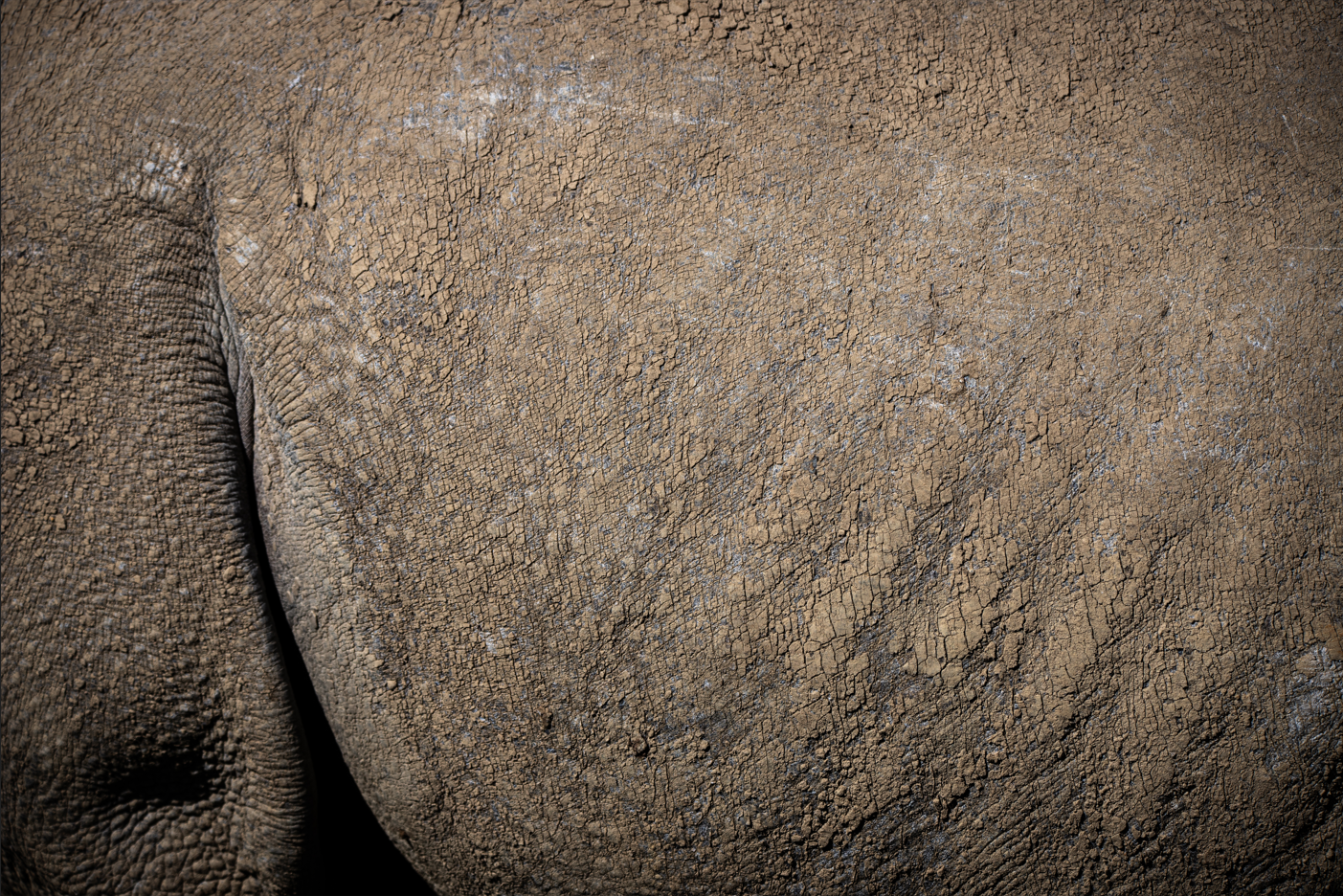 {5F48F040-0876-4B5E-8BF7-32ED7E681D96}.png