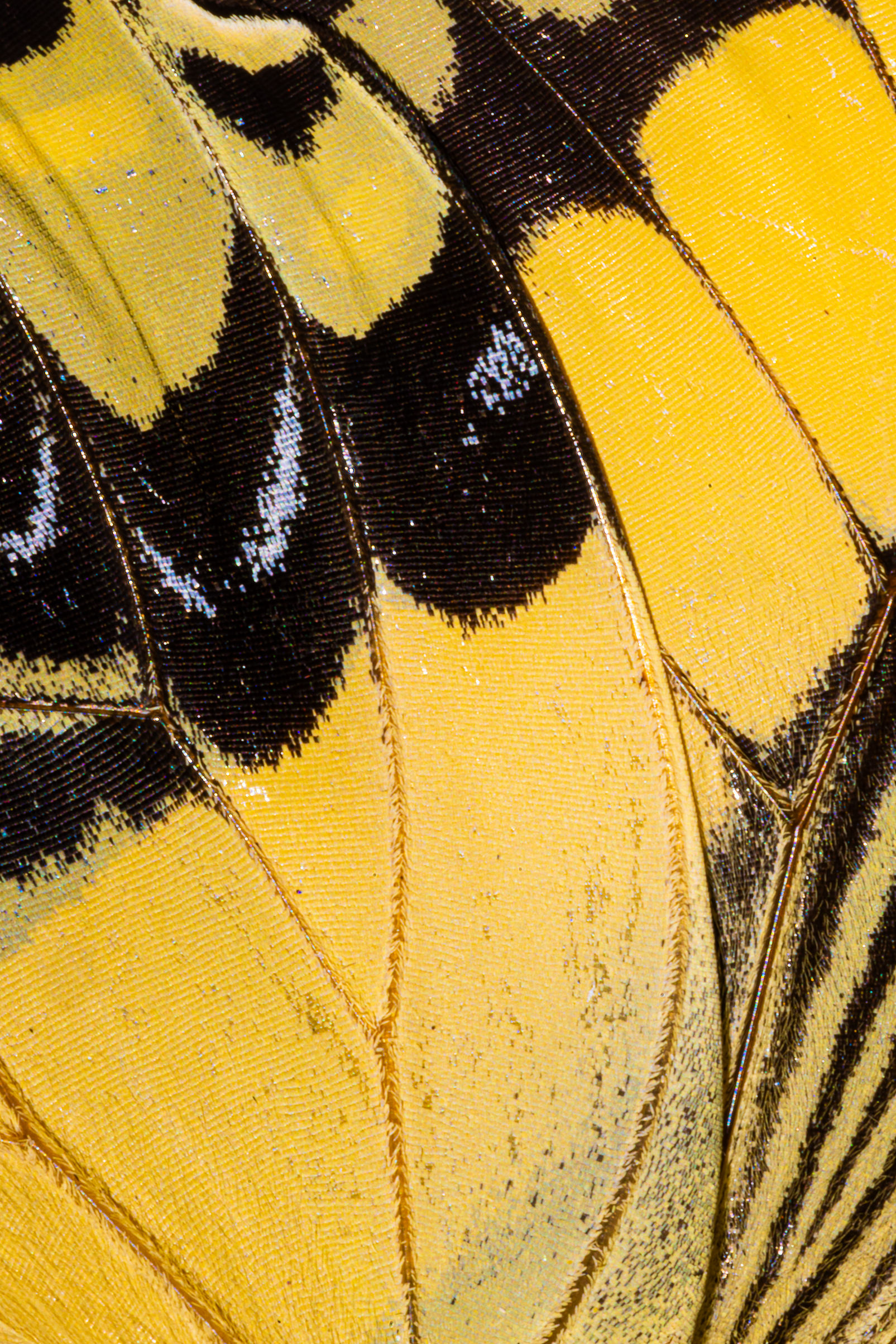 Screenshot 2025-12-20 231354.png