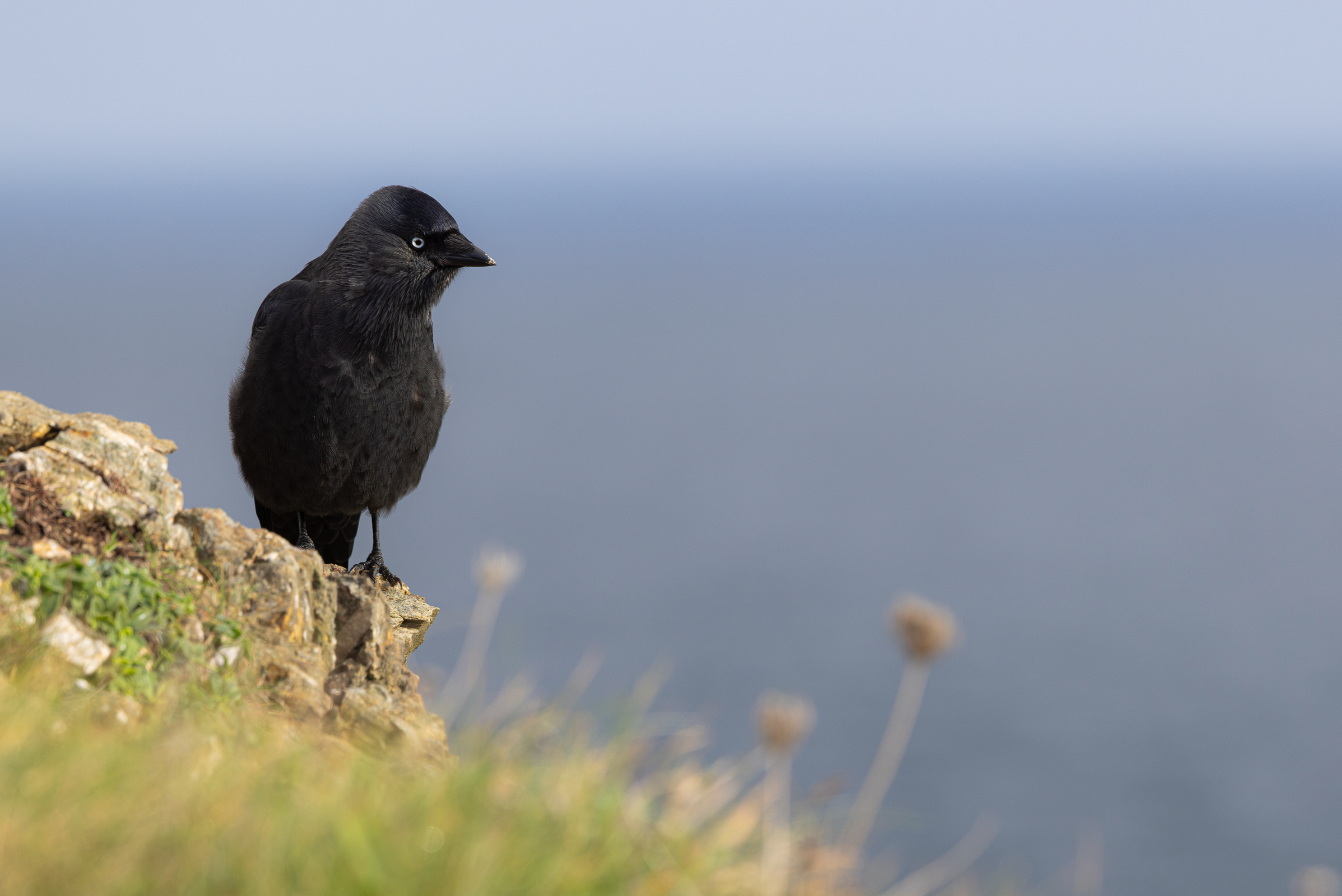 Screenshot 2025-12-25 130303.png