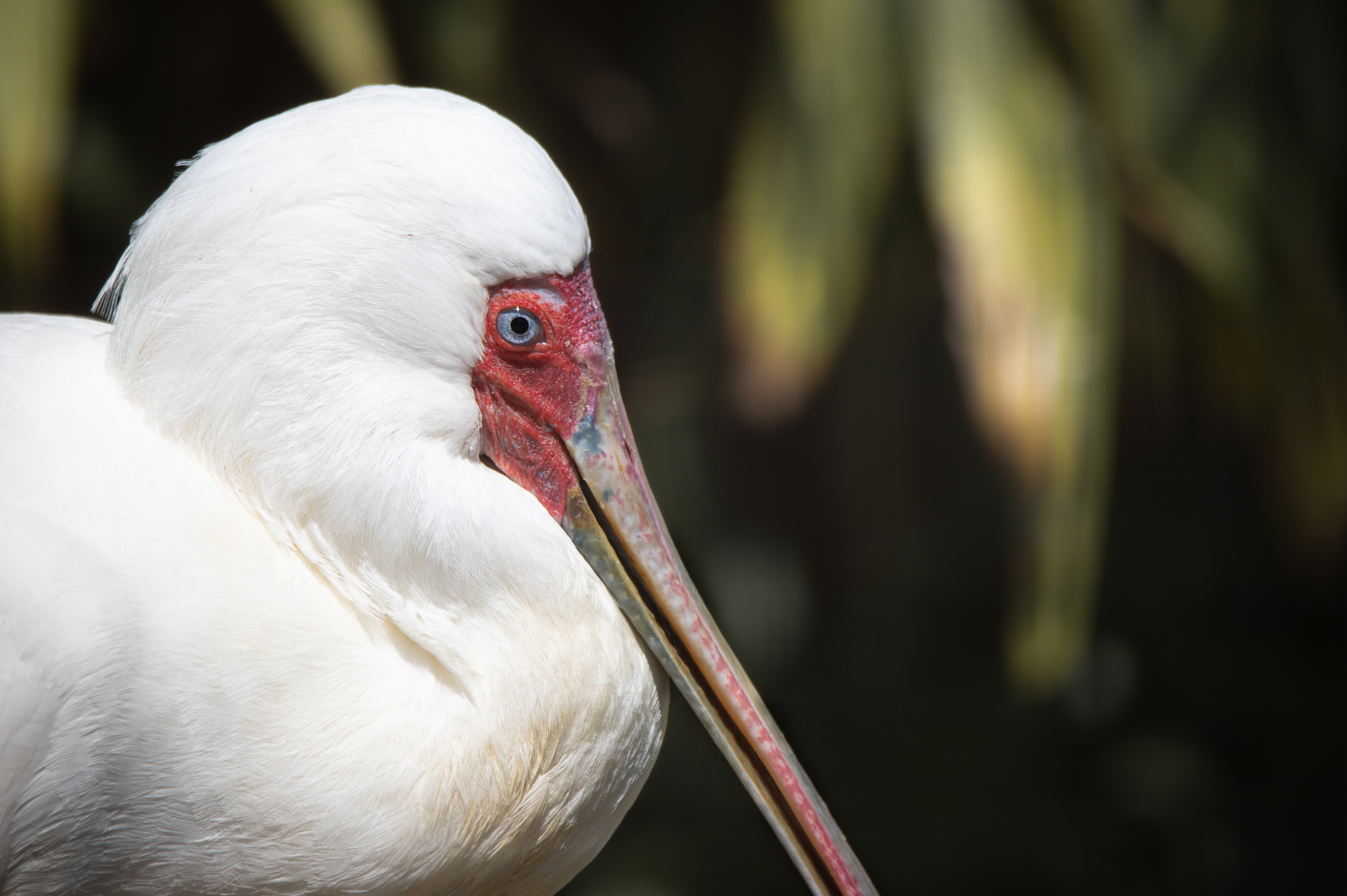 Screenshot (306).png