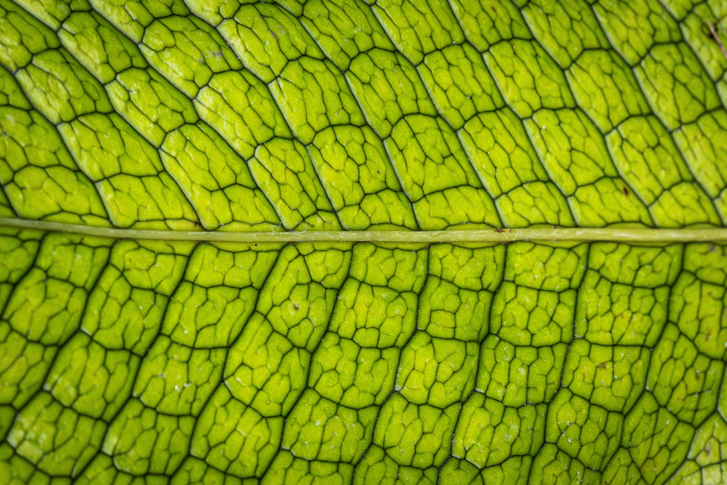 _92A0352.jpg