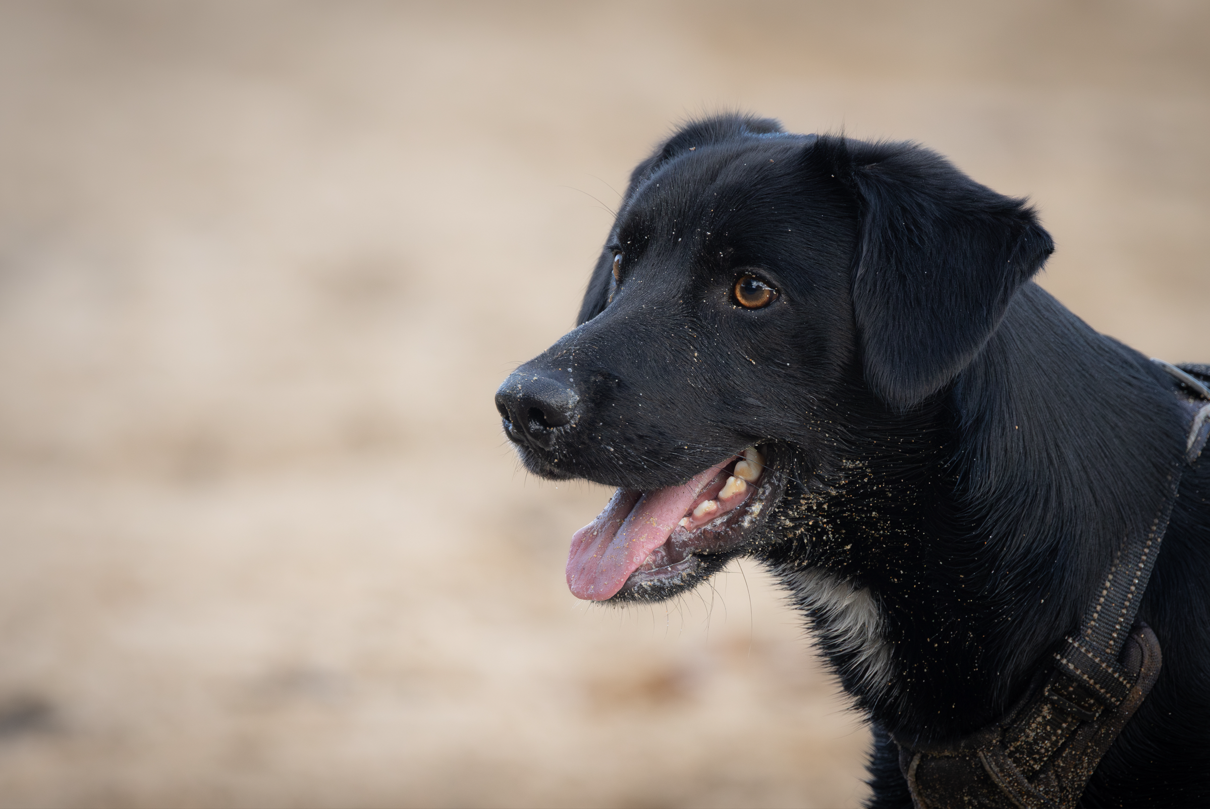 Screenshot 2026-02-04 223235.png