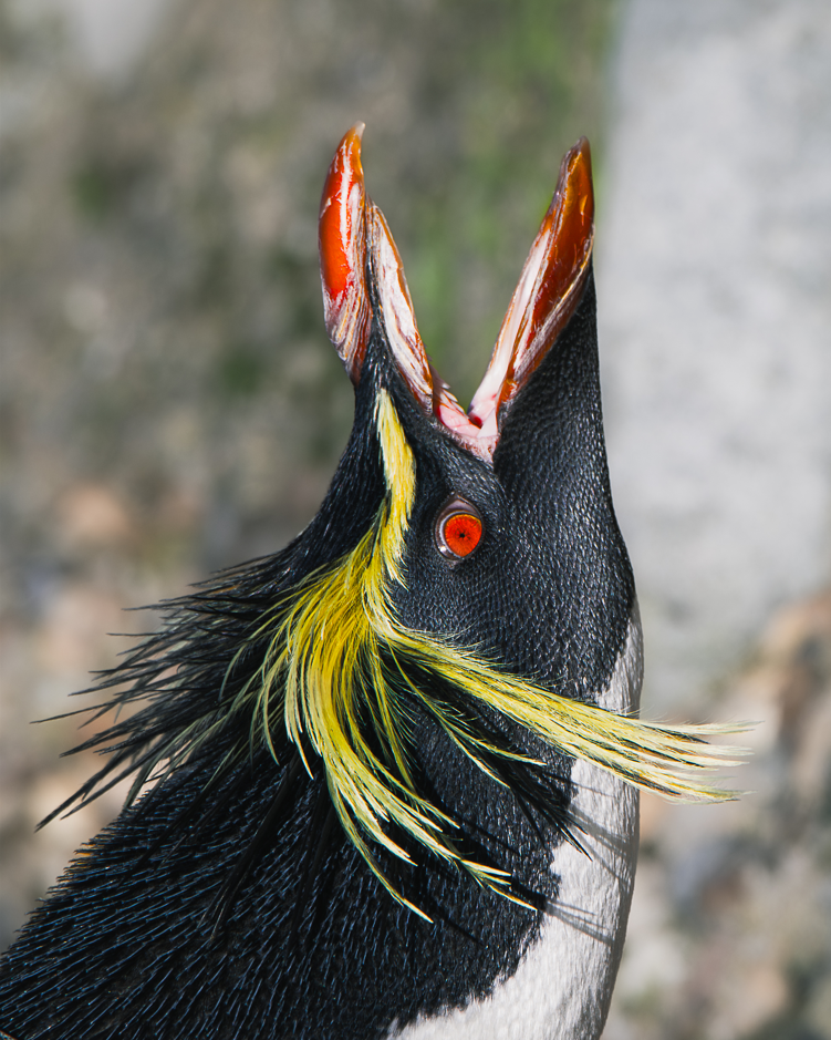 Screenshot (251).png