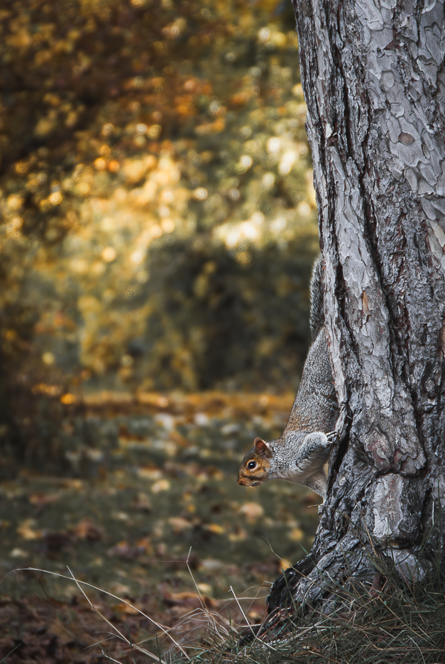 Screenshot (191).png