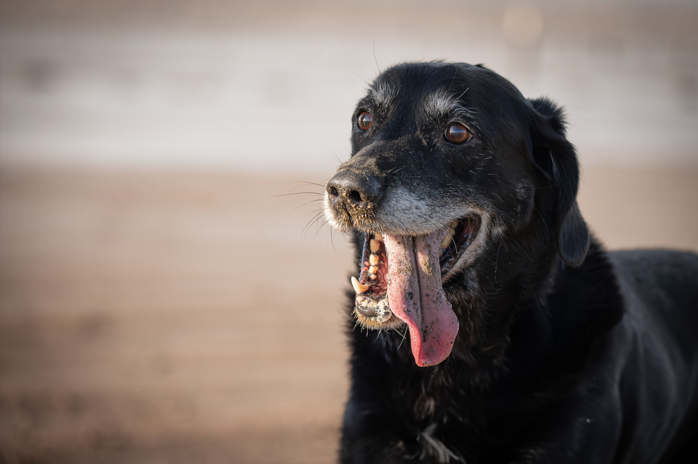 Screenshot (320).png