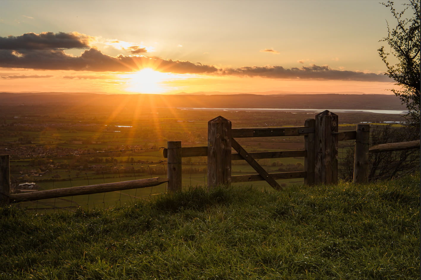 Screenshot (196).png