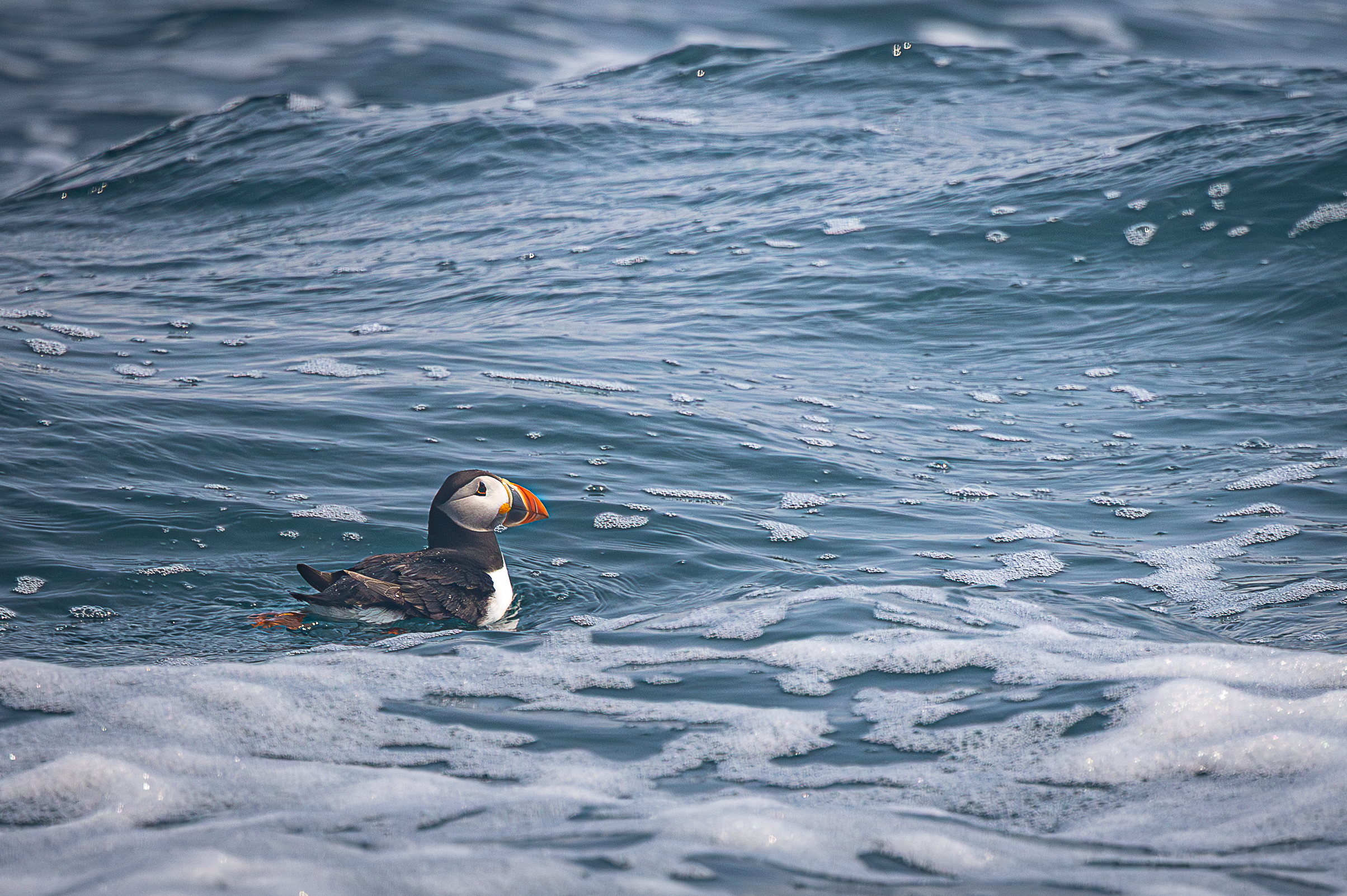 Screenshot 2026-02-05 133100.png