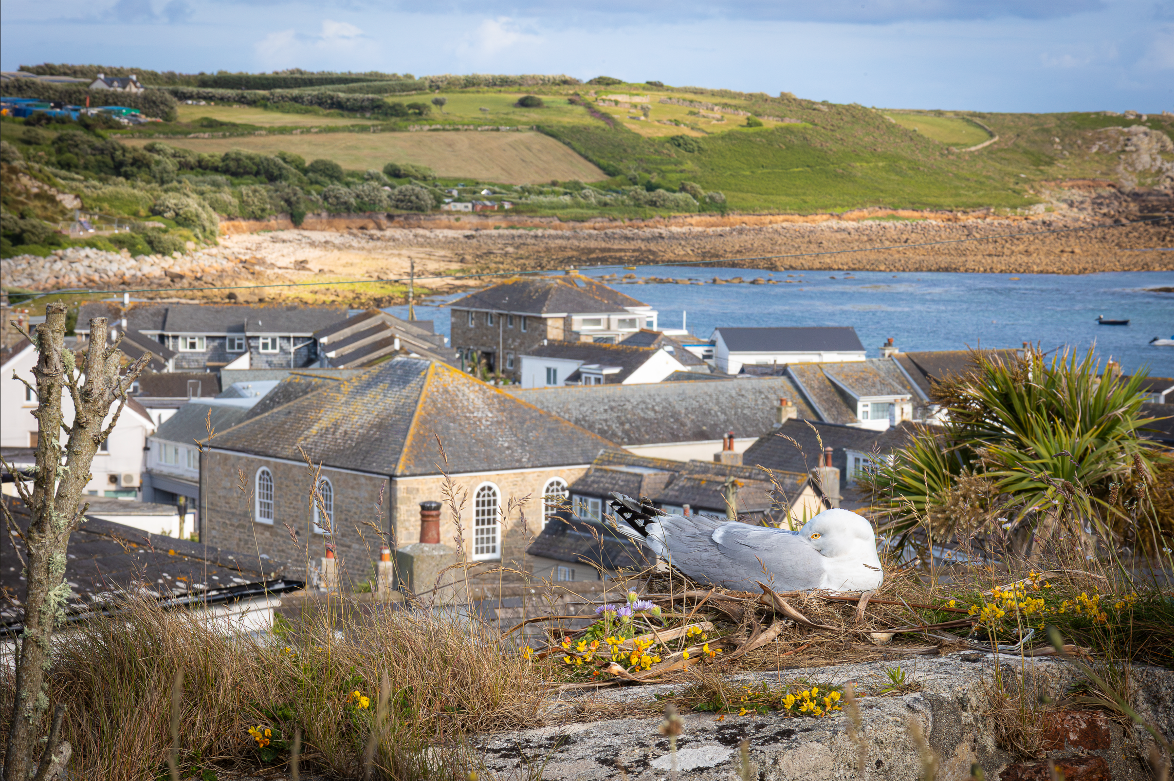 Screenshot 2026-02-05 121041.png