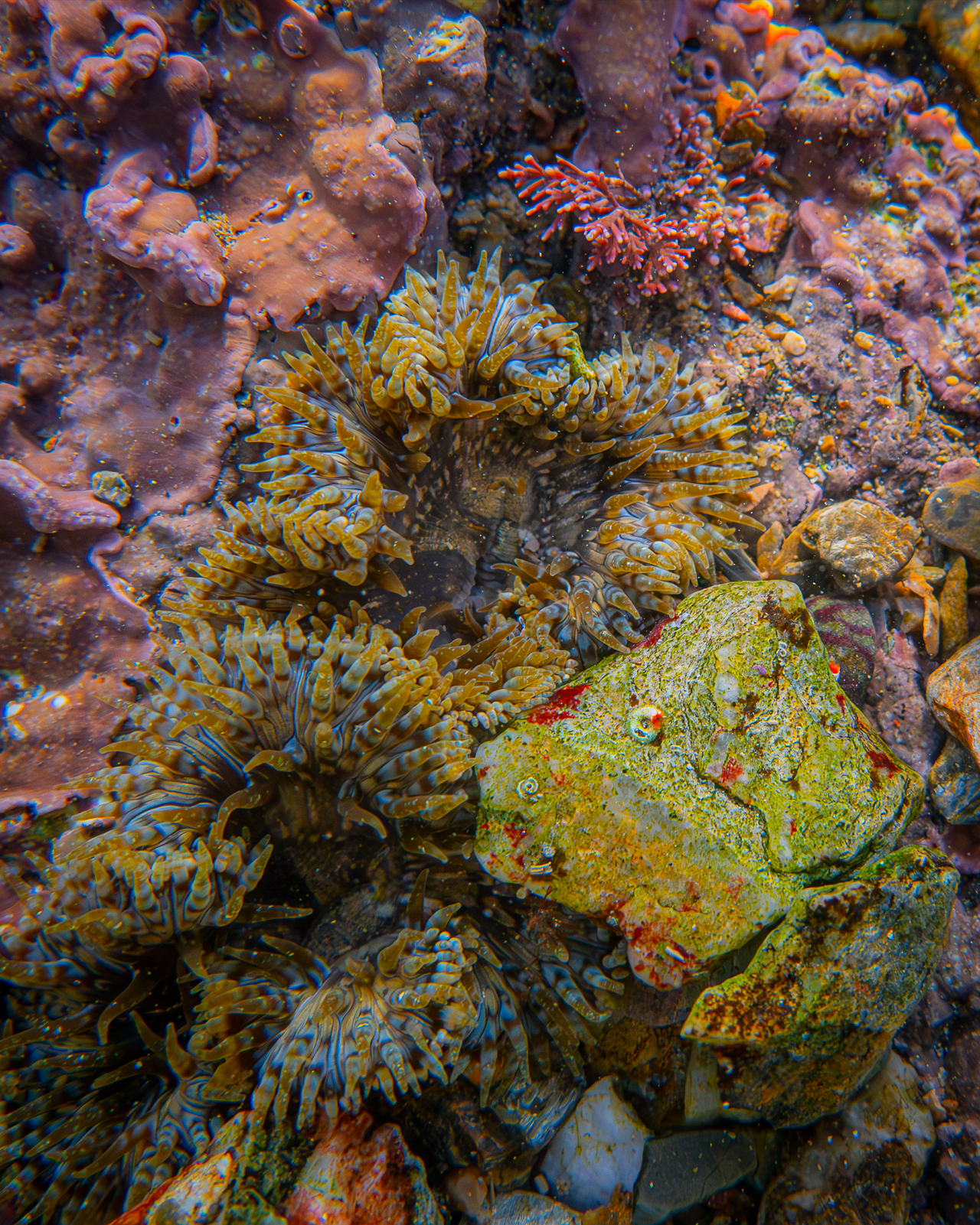 Screenshot 2025-05-22 220453.png