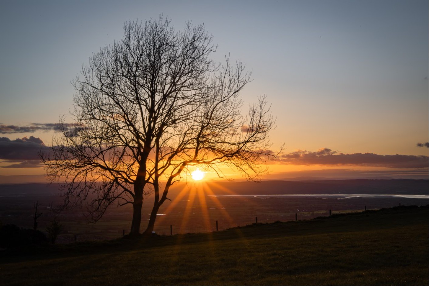 Screenshot (163).png