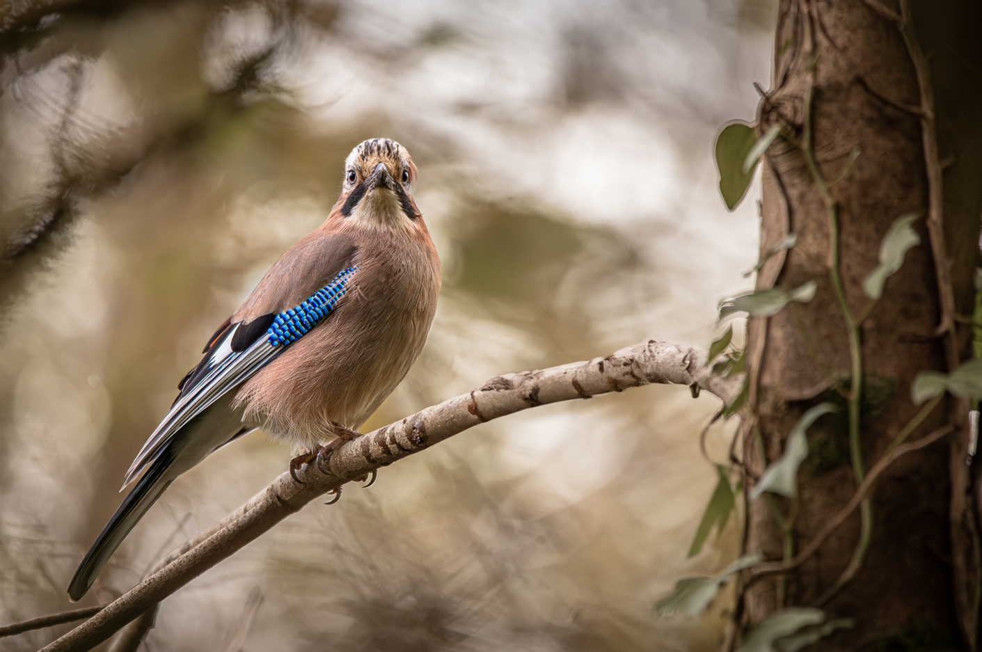 Screenshot (210).png