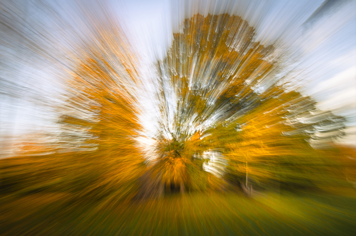 Screenshot (182).png