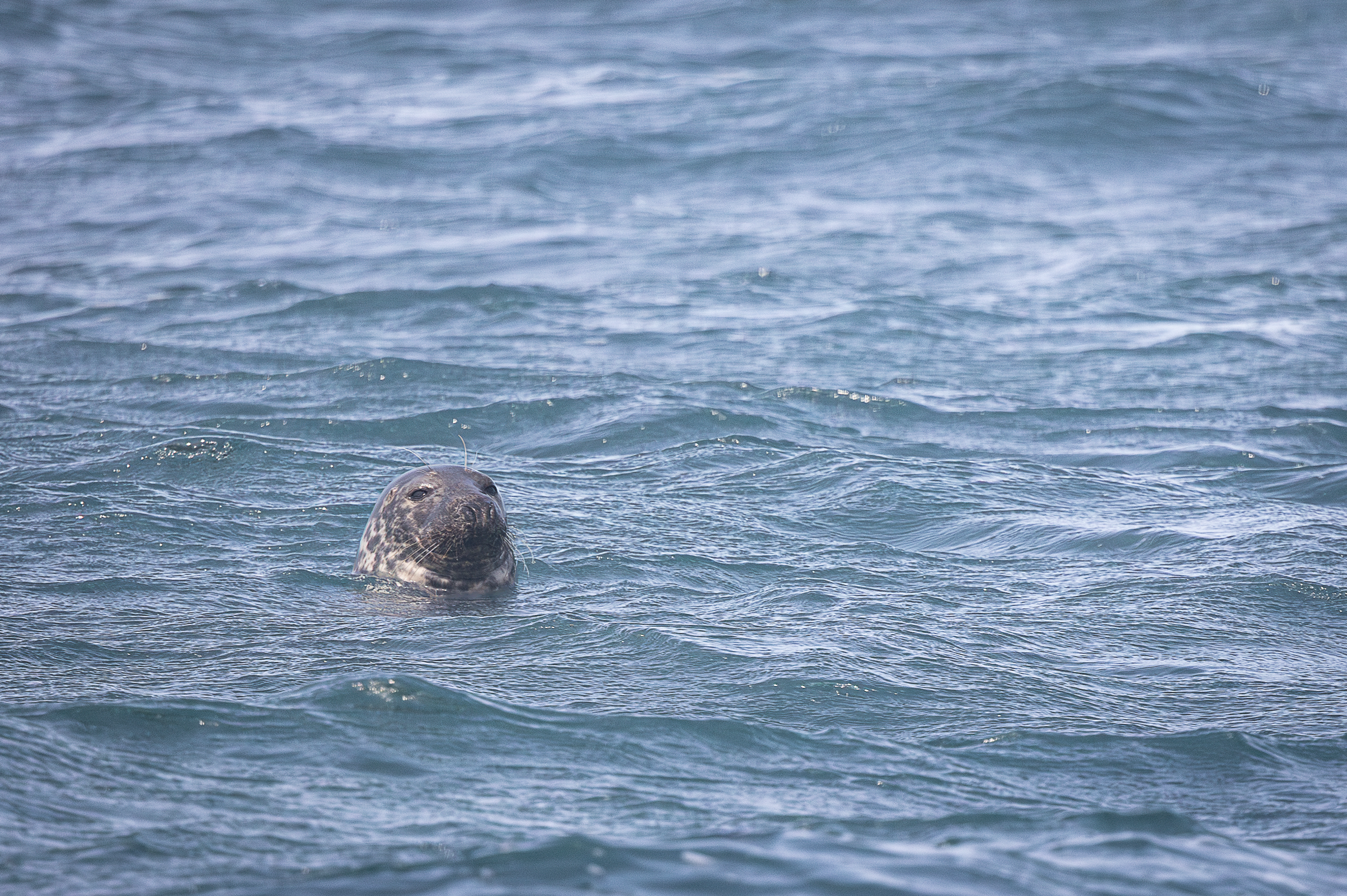 Screenshot 2026-02-05 133025.png