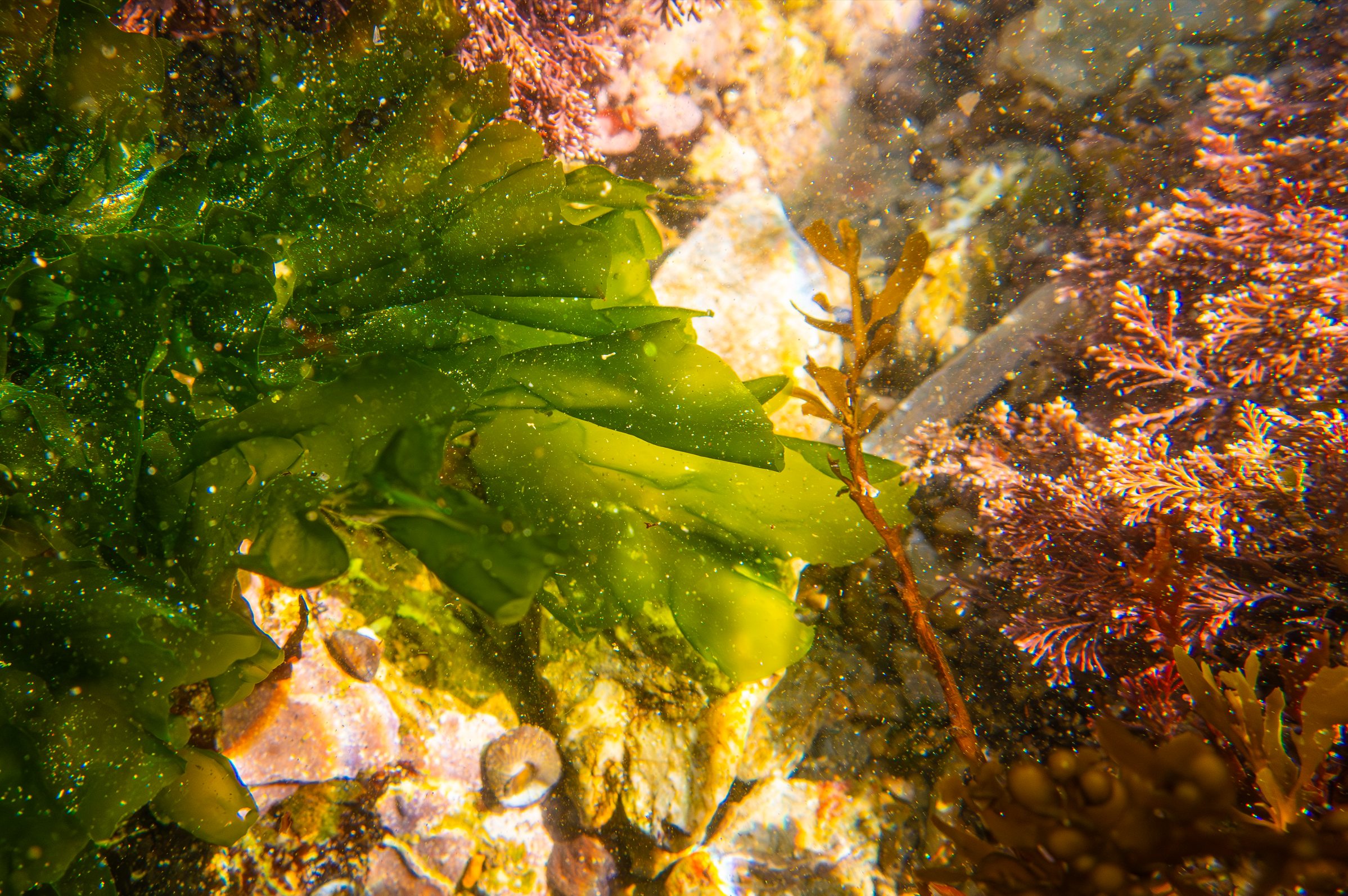 Screenshot 2025-05-22 220347.png