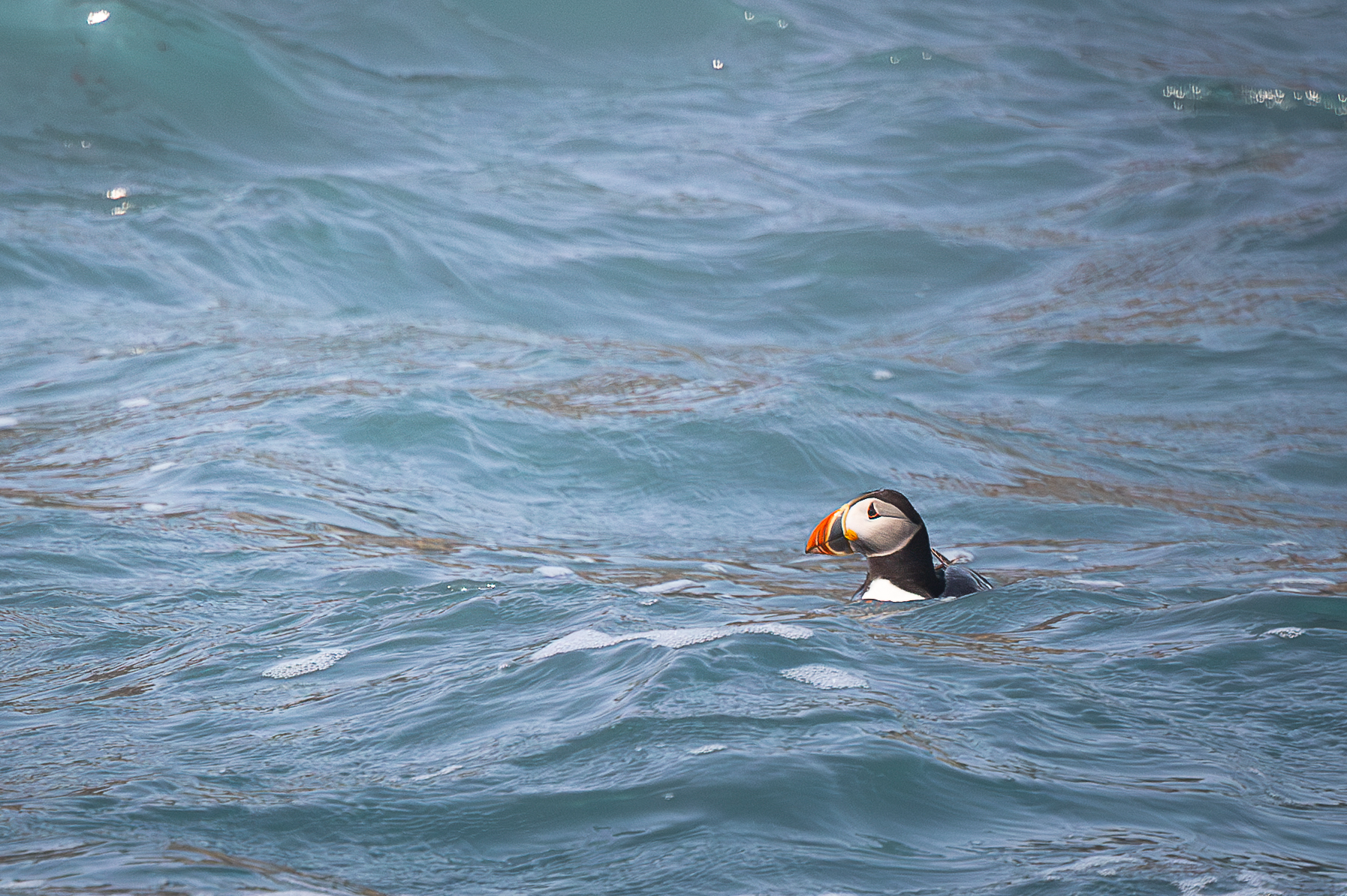 Screenshot 2026-02-05 133053.png