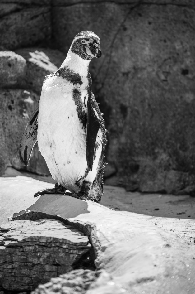 Screenshot (300).png