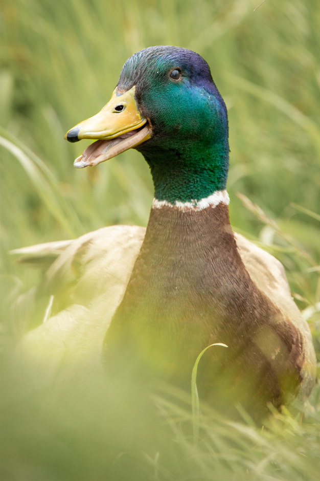 Screenshot (140).png