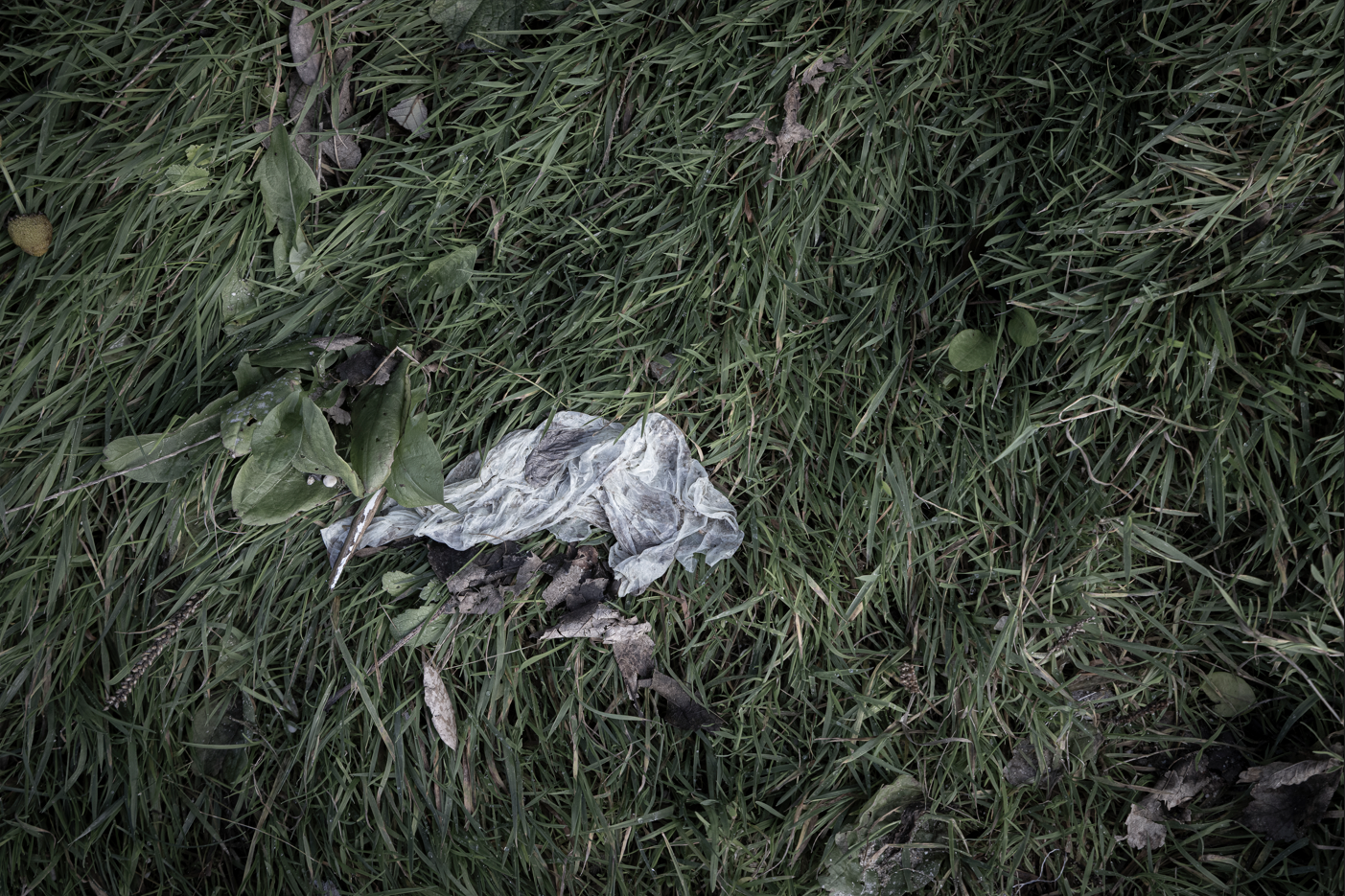 {59581A8F-012A-4B10-BD01-01A577A87B32}.png
