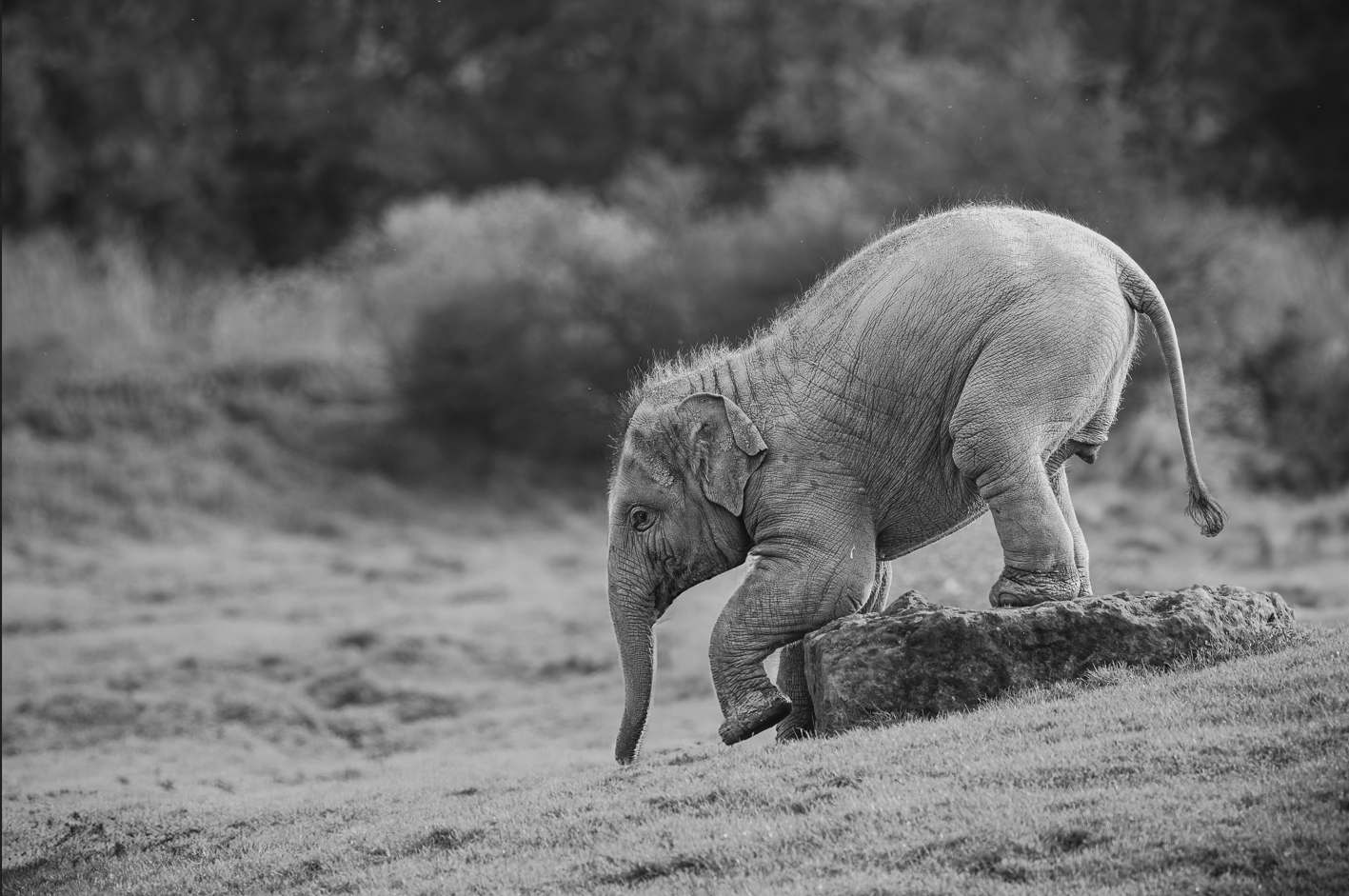 Screenshot (229).png