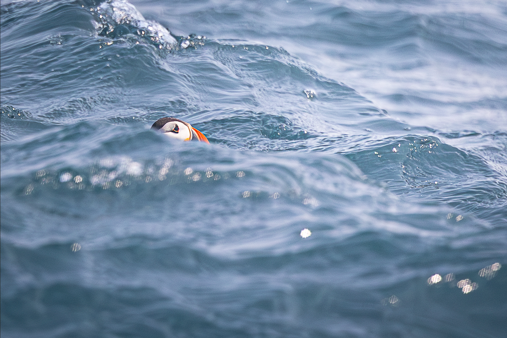 Screenshot 2026-02-05 133046.png