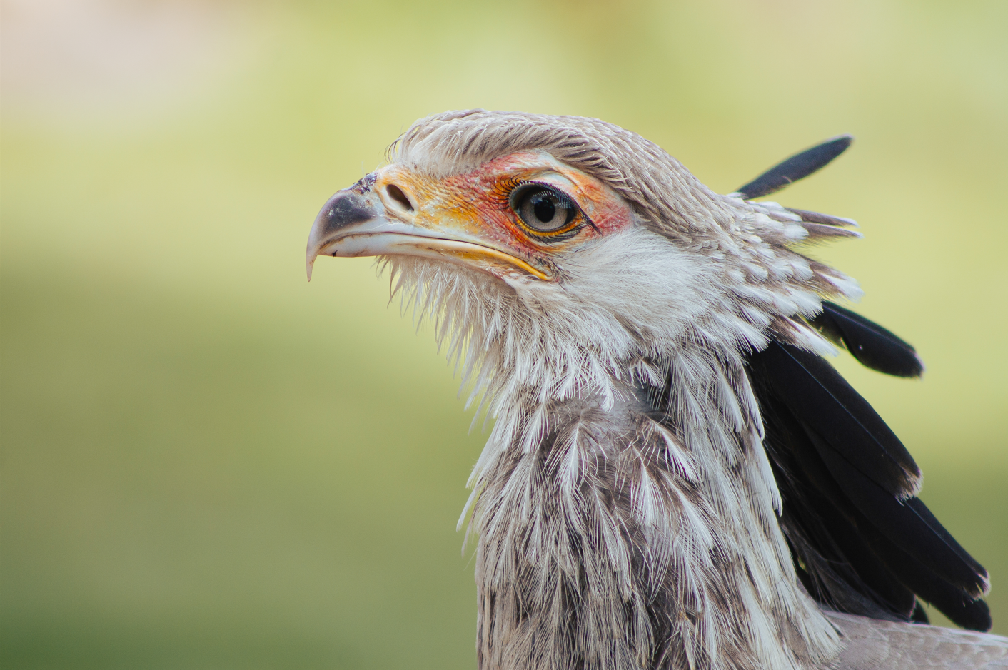 Screenshot (236).png