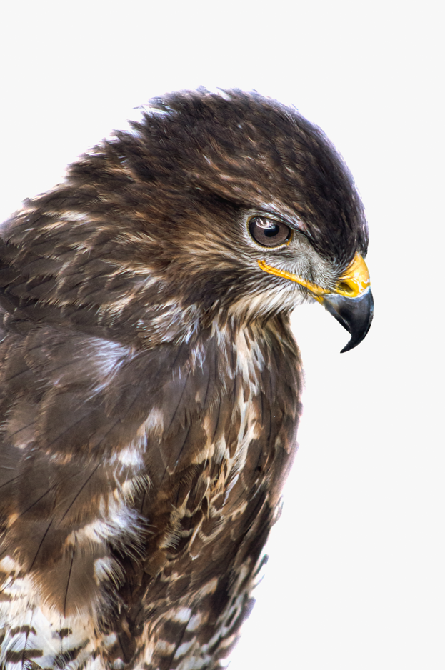 Screenshot (313).png