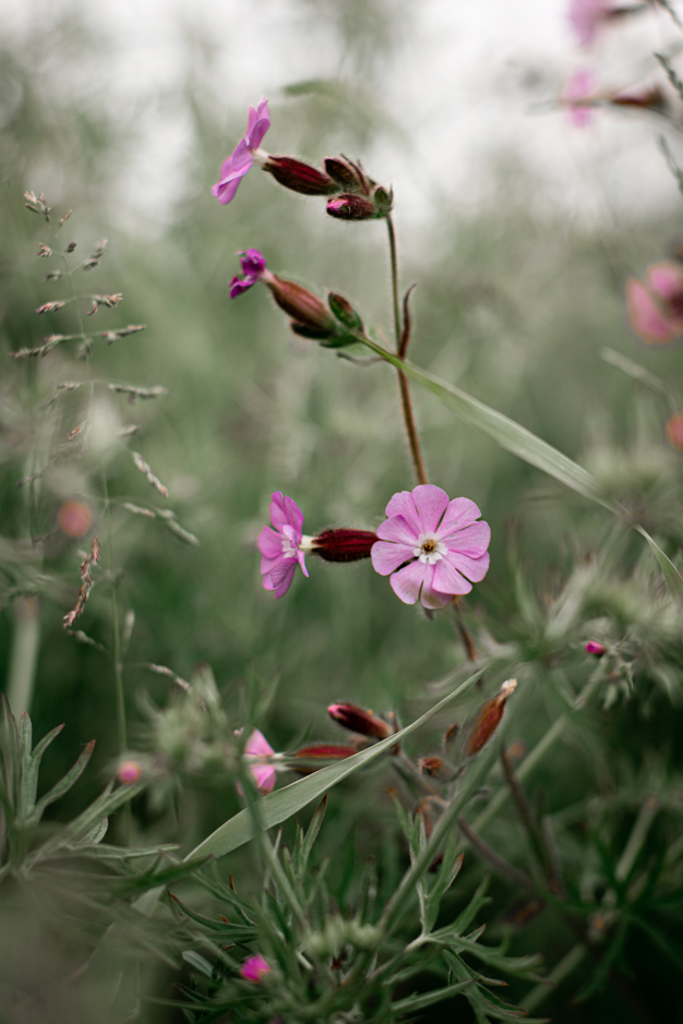 Screenshot (199).png