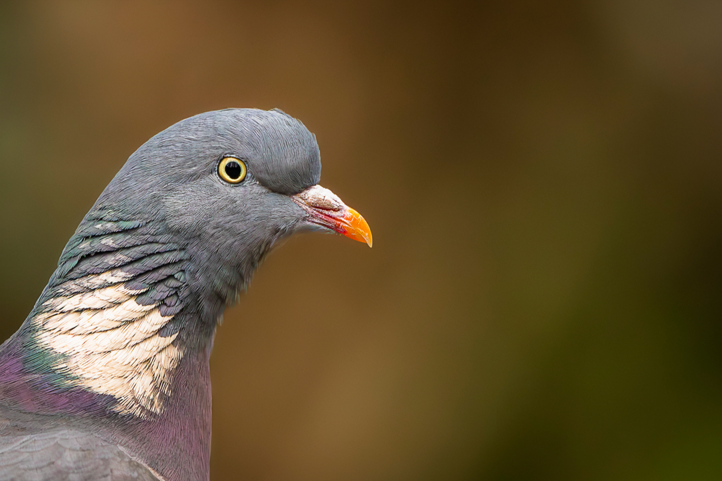 Screenshot (122).png