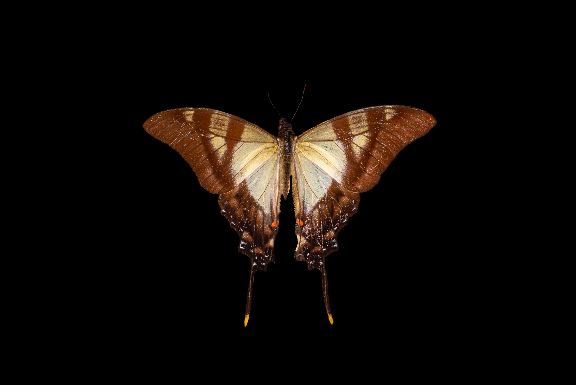 Screenshot 2025-12-20 231050.png