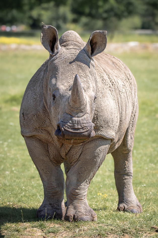 Screenshot (295).png