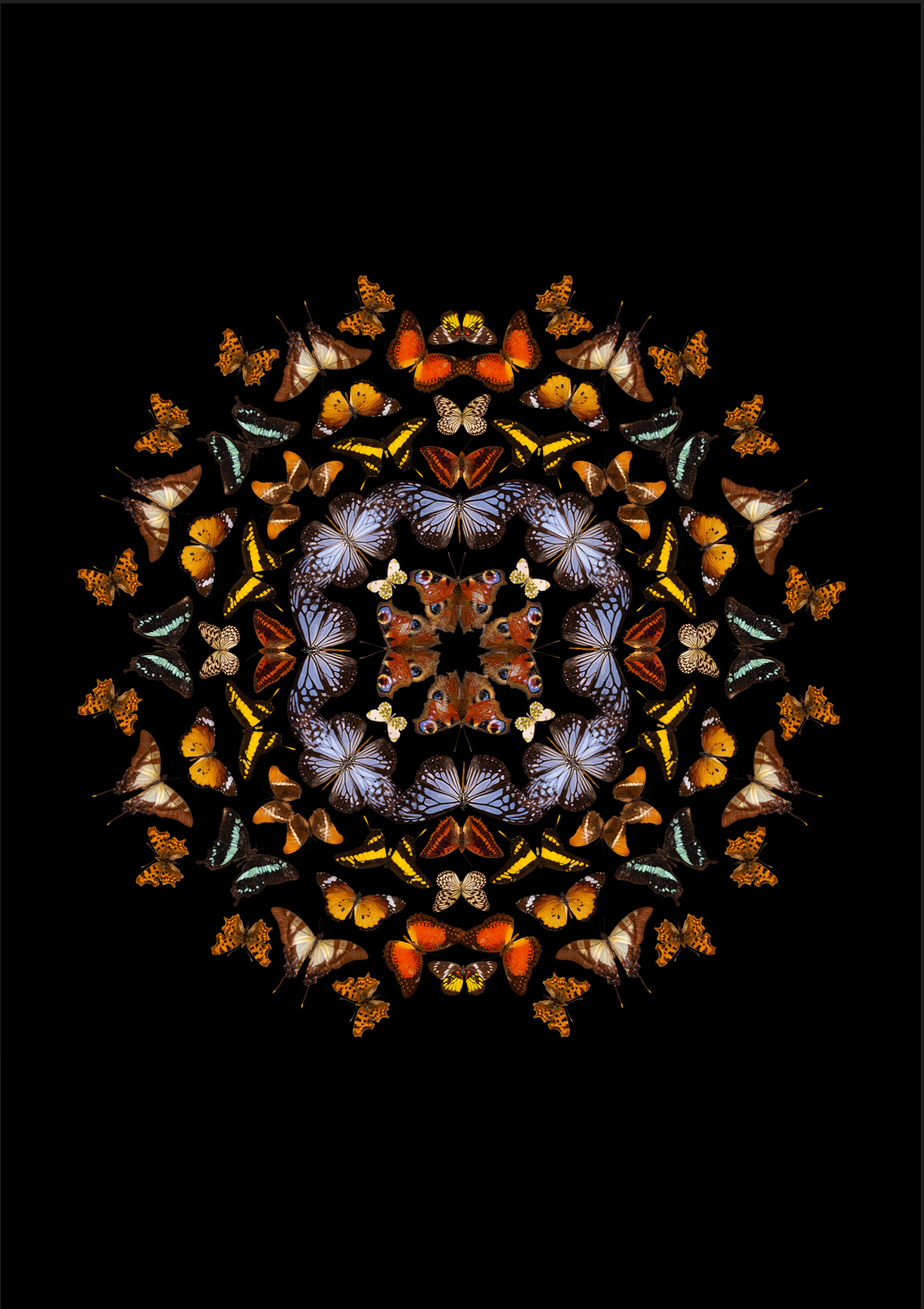 Screenshot 2025-12-23 004237.png