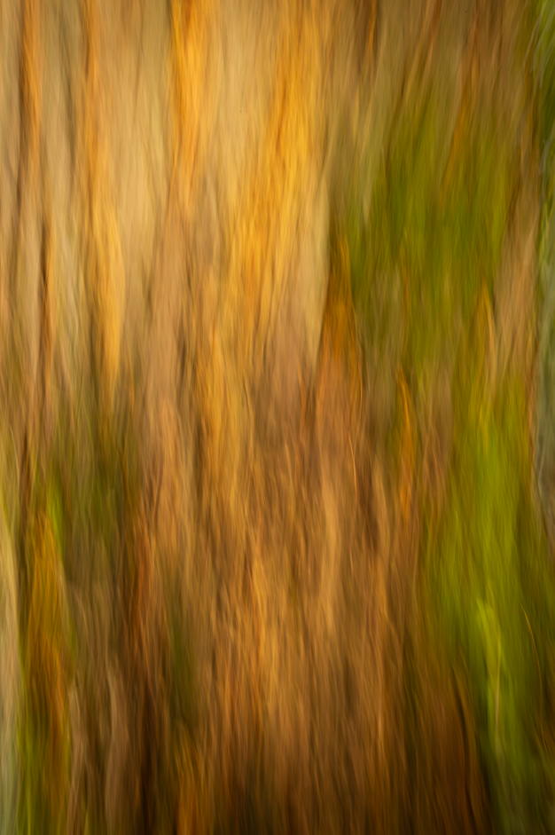 Screenshot (203).png