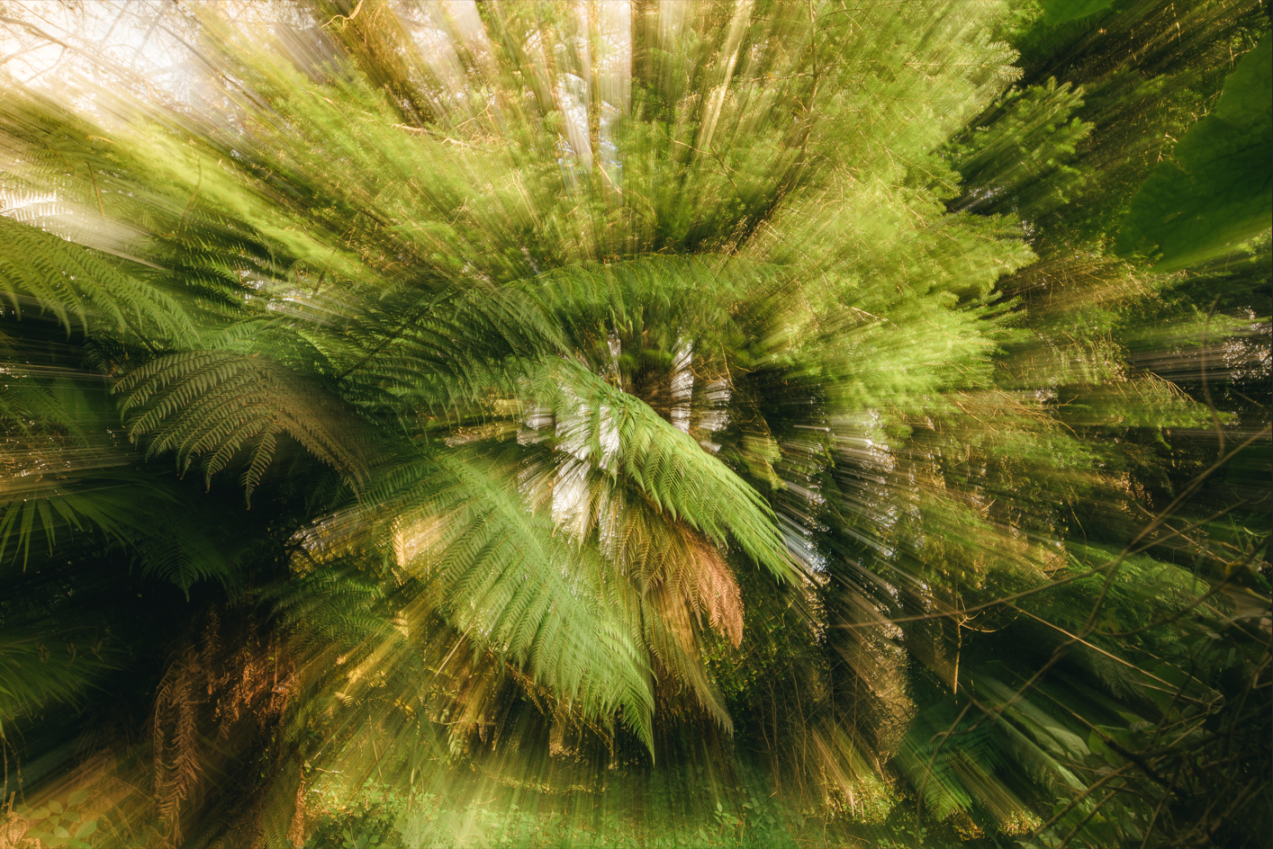 Screenshot (172).png