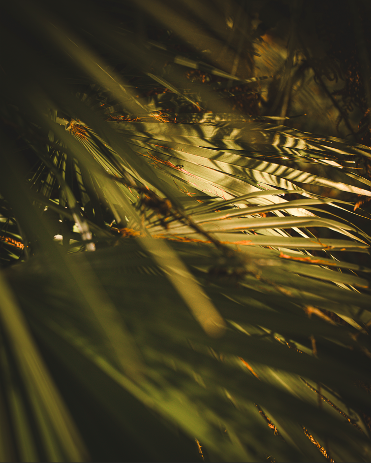 Screenshot (204).png