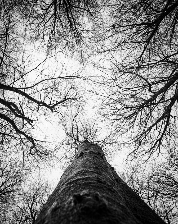 Screenshot (147).png