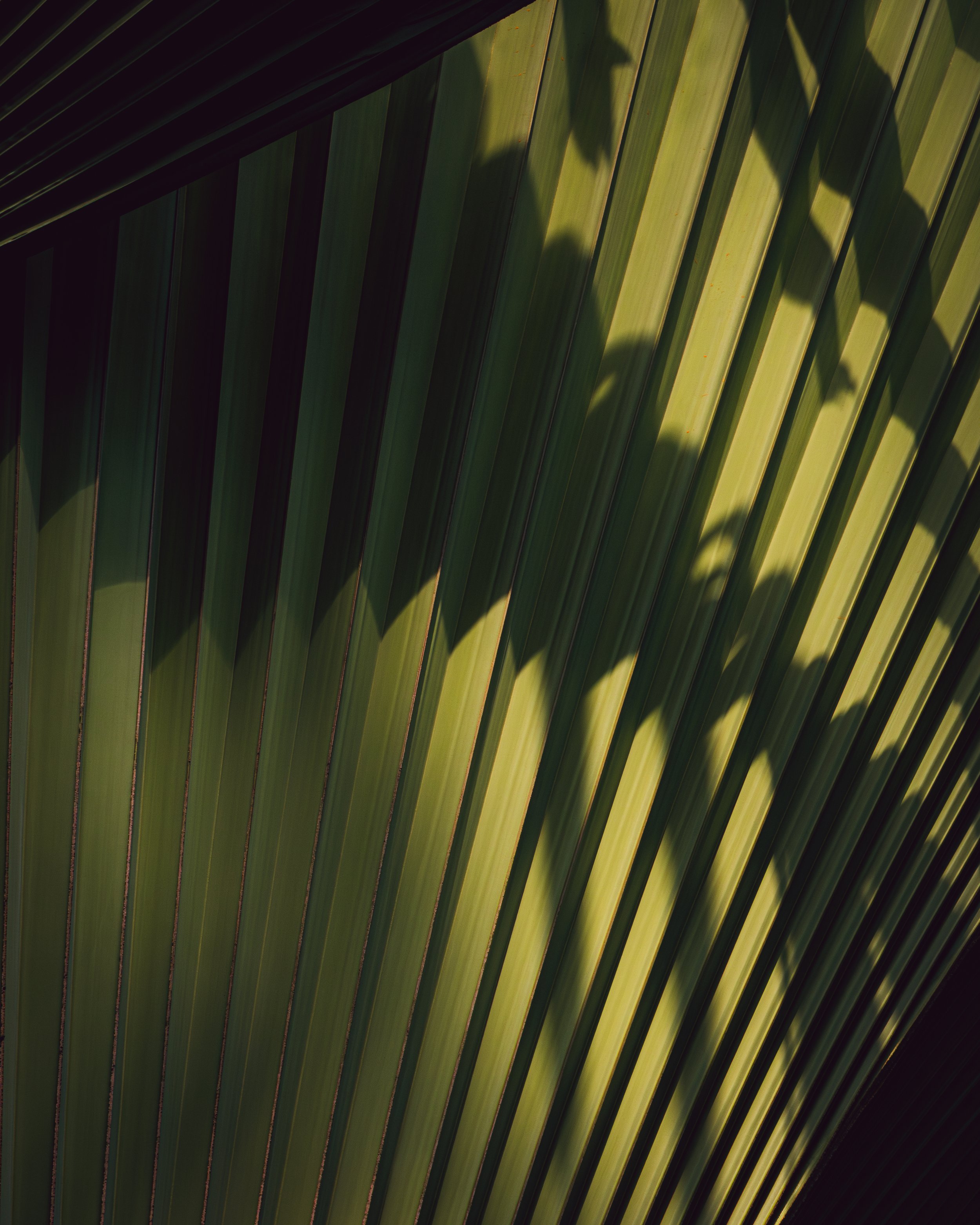 _92A9953.jpg