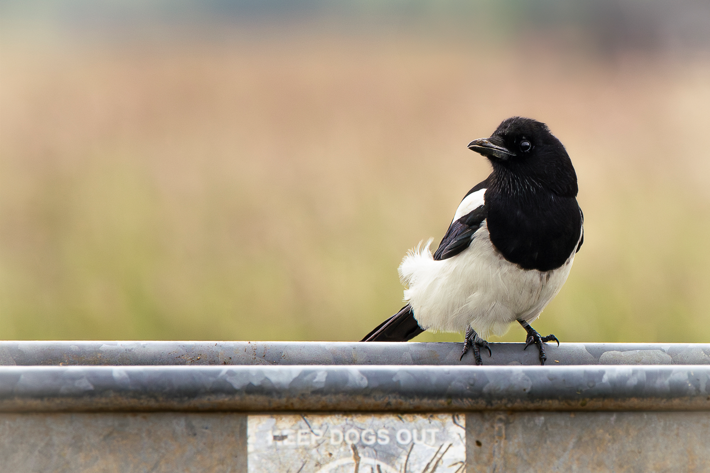 Screenshot (214).png