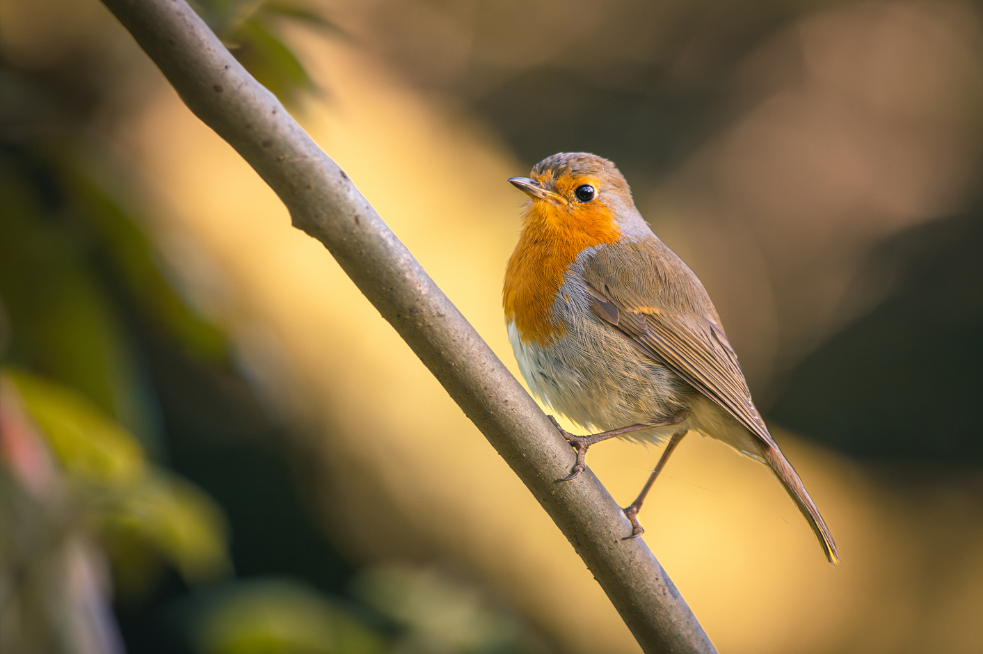 Screenshot (123).png