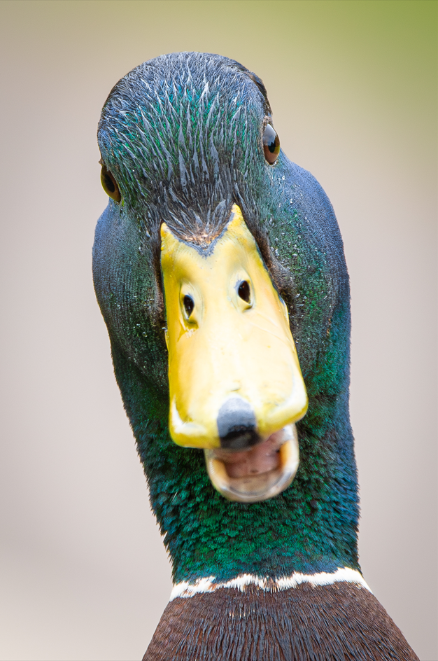 Screenshot (136).png