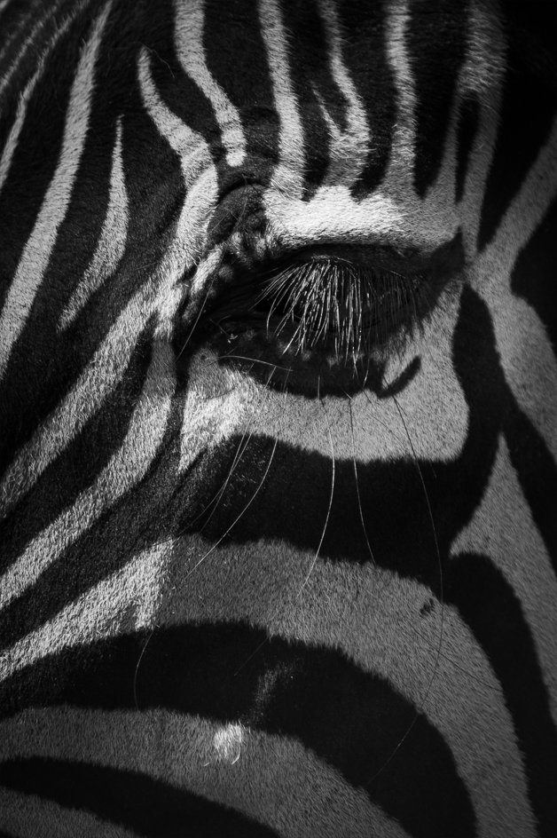 Screenshot (243).png