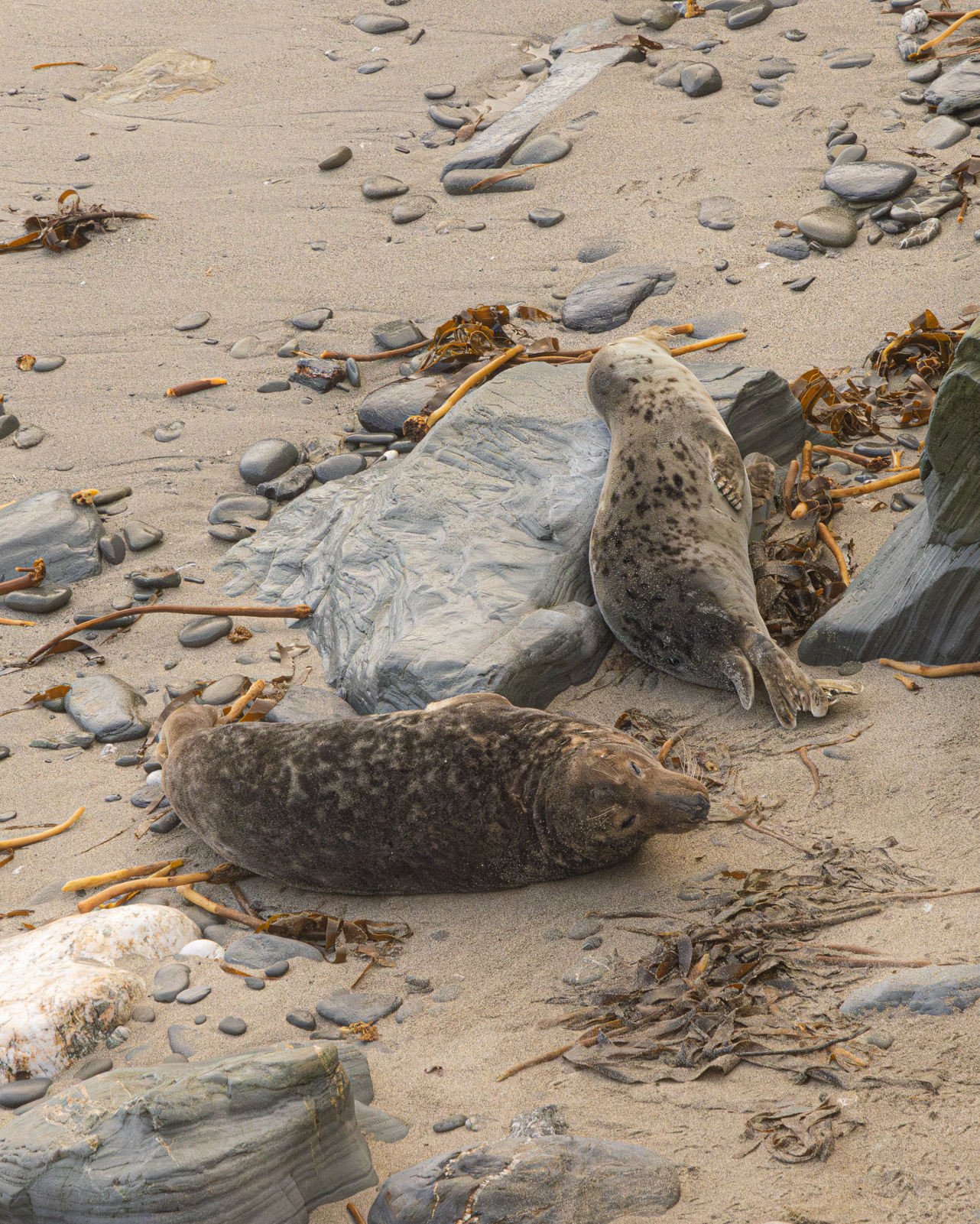 Screenshot 2026-02-04 224627.png