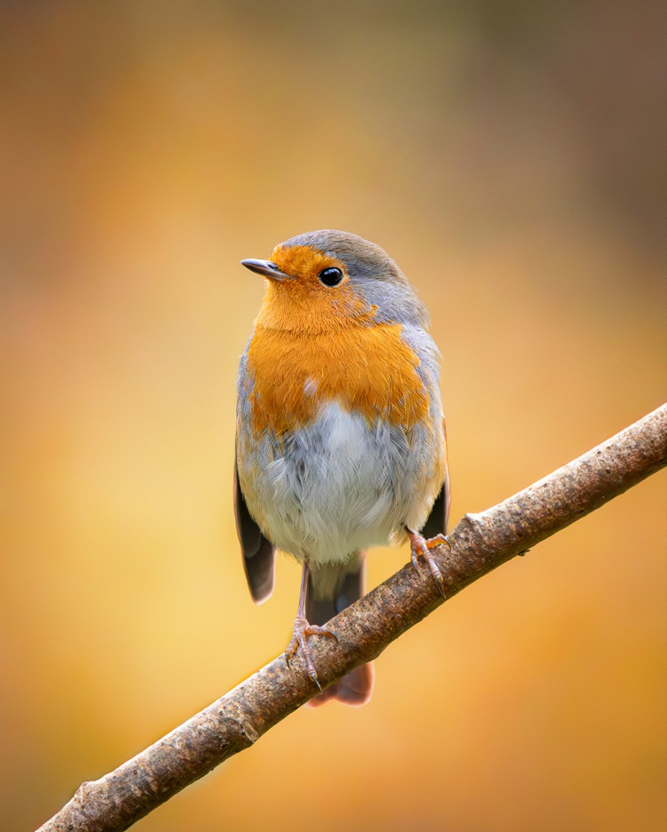 Screenshot (100).png