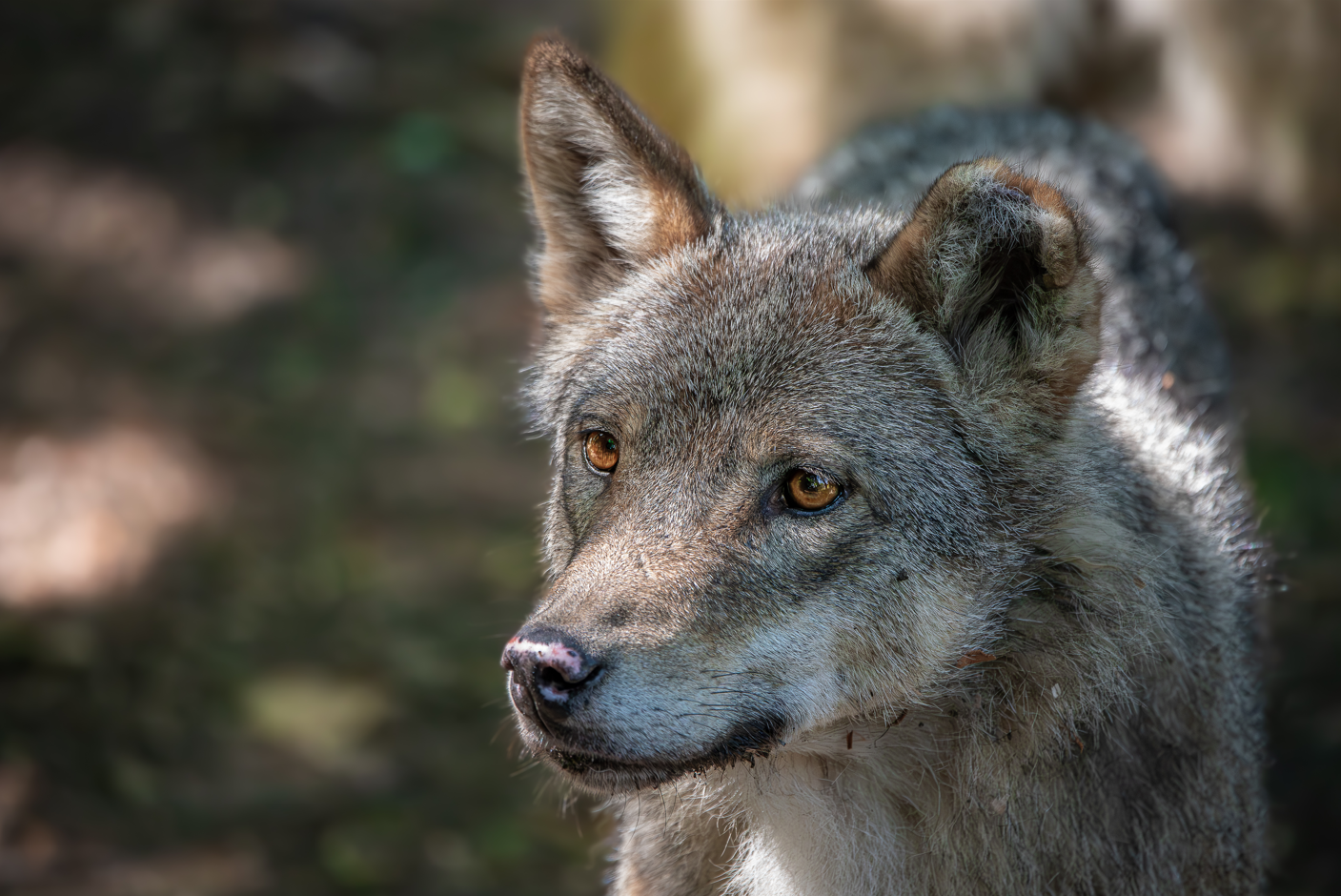 Screenshot (293).png